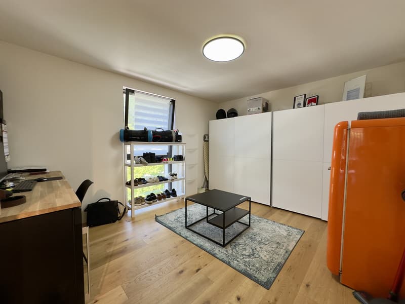 SPLENDIDO E AMPIO 4.5 LOCALI CON FINITURE DI PREGIO A RIVERA (7)