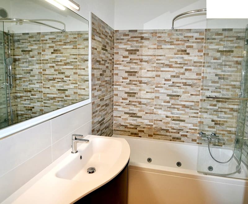 ELEGANTE 3.5 LOCALI CON TERRAZZA E VISTA LAGO A PARADISO (6)