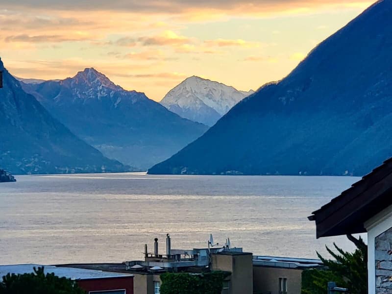 ELEGANTE 3.5 LOCALI CON TERRAZZA E VISTA LAGO A PARADISO (8)