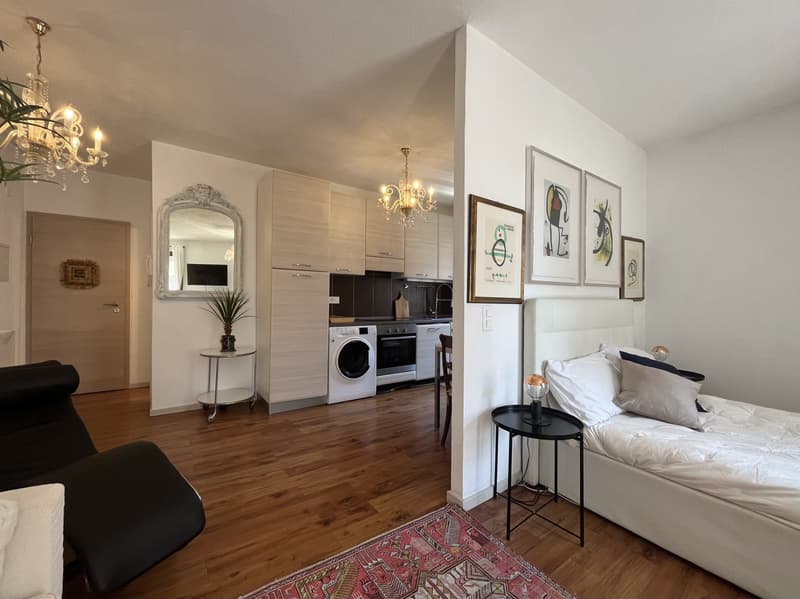 AFFITTASI ATTICO OPEN-SPACE DI DESIGN A MASSAGNO (3)