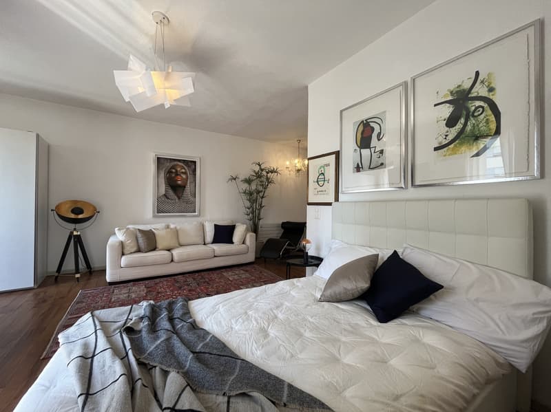 AFFITTASI ATTICO OPEN-SPACE DI DESIGN A MASSAGNO (6)