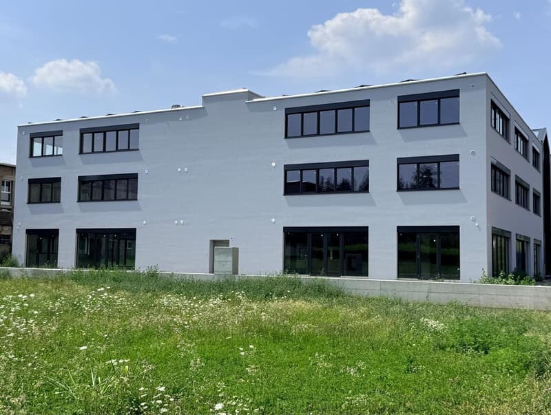 NUOVO SPAZIO ARTIGIANALE/COMMERCIALE MODULABILE A MENDRISIO (2)