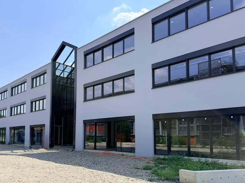 NUOVO SPAZIO ARTIGIANALE/COMMERCIALE MODULABILE A MENDRISIO (3)