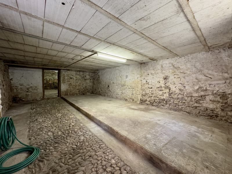 AMPIO RUSTICO DA RISTRUTTURARE NEL NUCLEO DI SAN VITTORE (4)