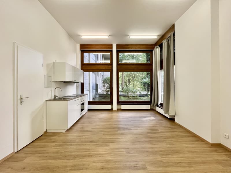 AFFITTASI UFFICIO DI 65 MQ CON AMPIE VETRINE A LUGANO LORETO (5)