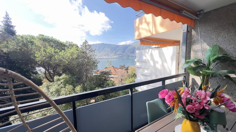 PRATICO BILOCALE RINNOVATO CON VISTA LAGO A BISSONE (3)