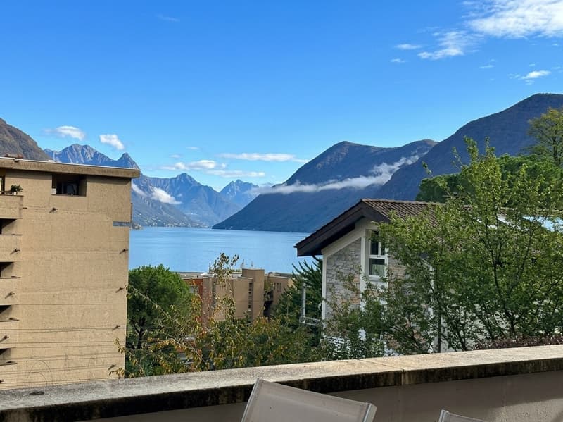 ELEGANTE 3.5 LOCALI CON TERRAZZA E SCORCIO LAGO A PARADISO (2)