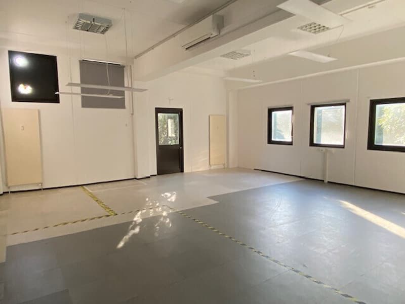 AMPIO STABILE ARTIGIANALE/COMMERCIALE INDIPENDENTE A BALERNA (5)