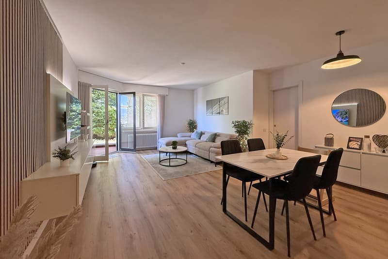 BELLISSIMO 3.5 LOCALI INTERAMENTE RINOVATO A LUGANO SUD (2)