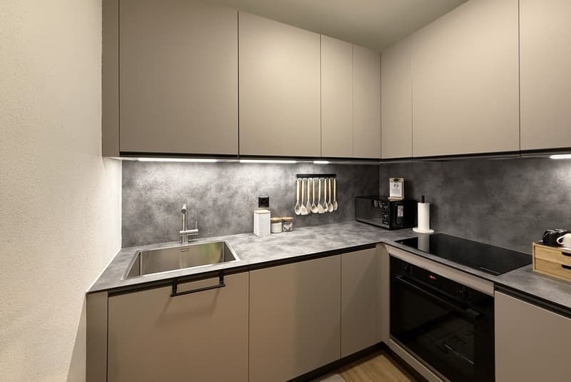 BELLISSIMO 3.5 LOCALI INTERAMENTE RINOVATO A LUGANO SUD (1)