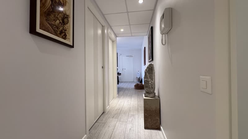 STUPENDO E AMPIO 3.5 LOCALI IN ZONA CENTRALE DI LUGANO (4)