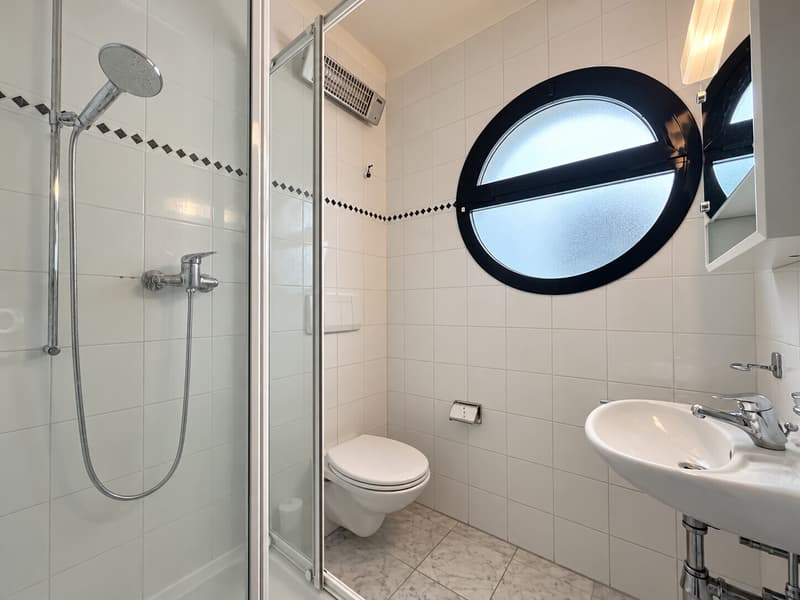 AFFITTASI MODERNO 4.5 LOCALI CON GIARDINO PRIVATO A CARABBIA (9)