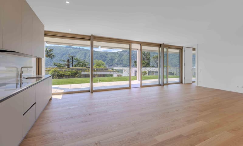 SPLENDIDO 2.5 LOCALI CON GIARDINO E VISTA LAGO A BISSONE (6)