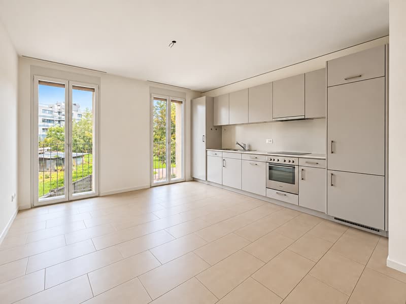 AFFITTASI MODERNO 3.5 LOCALI CON PARCO RESIDENZIALE A STABIO (3)
