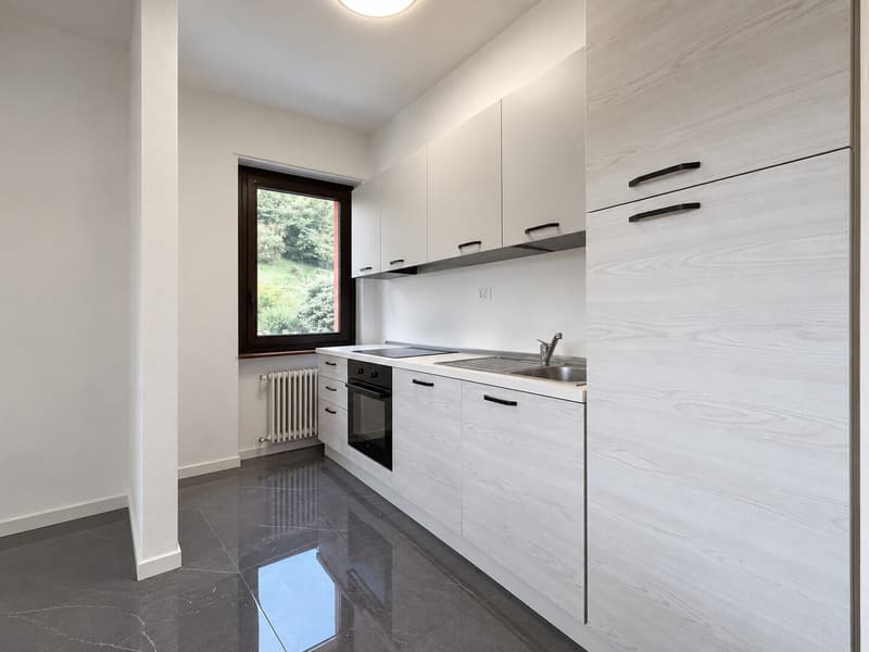 AFFITTASI ATTICO ARREDATO DI 3.5 LOCALI CON BALCONE A LUGANO (4)