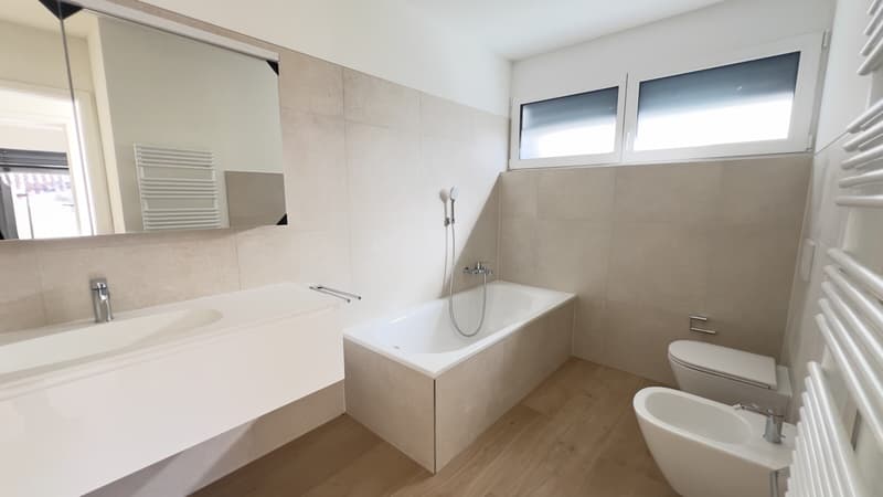 AMPIO ED ESCLUSIVO 4.5 LOCALI CON GIARDINO IN CAPRIASCA (11)