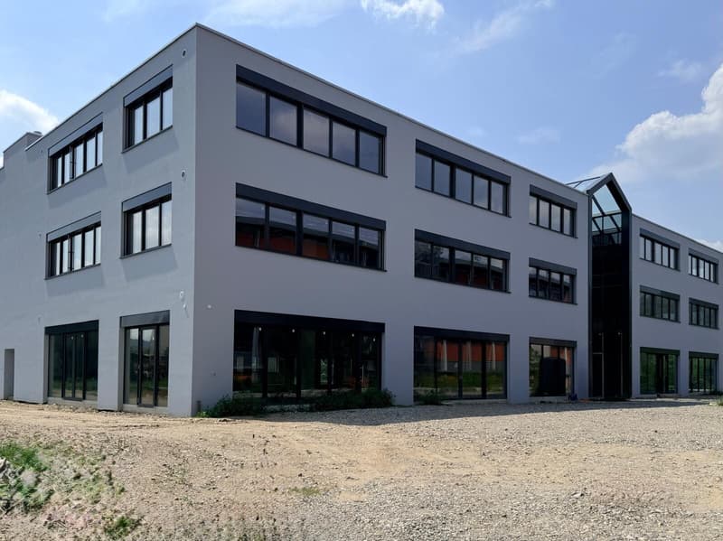 NUOVO SPAZIO ARTIGIANALE/COMMERCIALE MODULABILE A MENDRISIO (1)