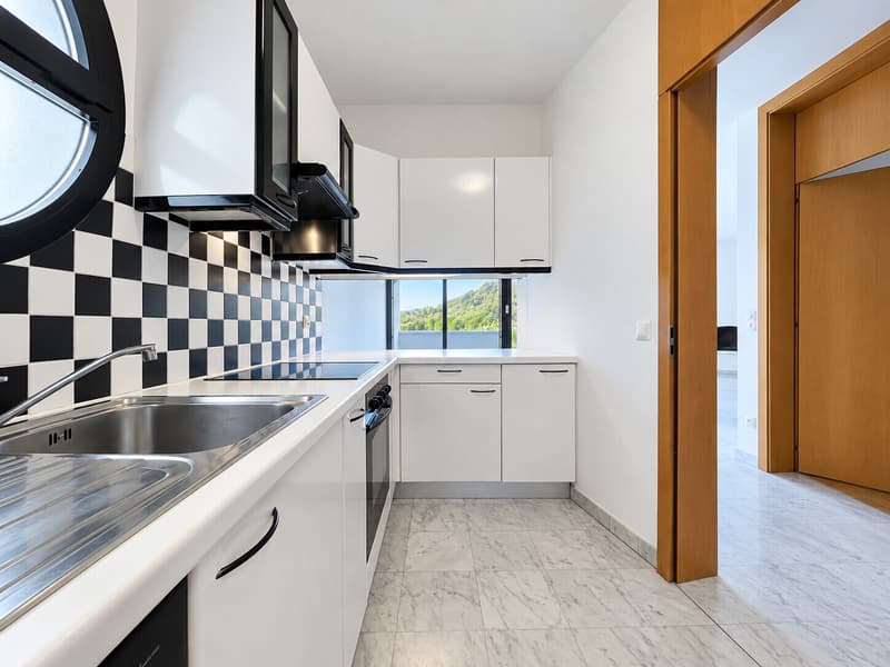 AFFITTASI MODERNO 4.5 LOCALI CON GIARDINO PRIVATO A CARABBIA (3)