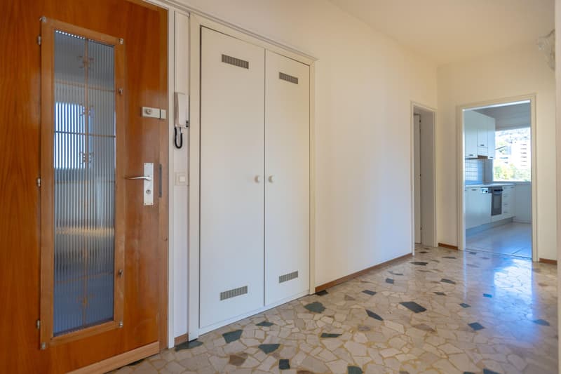 SPAZIOSO 3.5 LOCALI PIANO ALTO CON VISTA APERTA A CHIASSO (5)