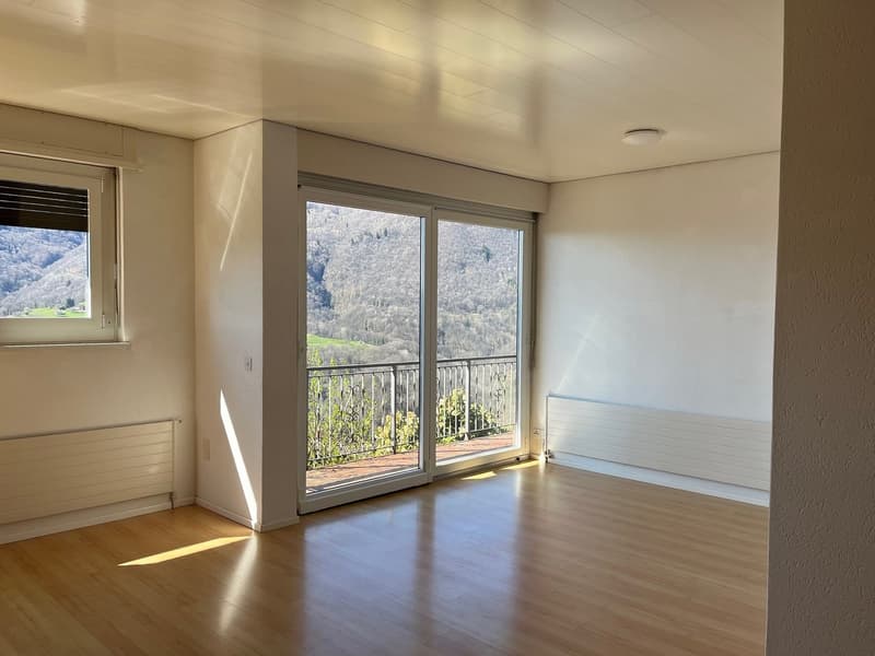 Casa unifamiliare con giardino ad Aranno (5)