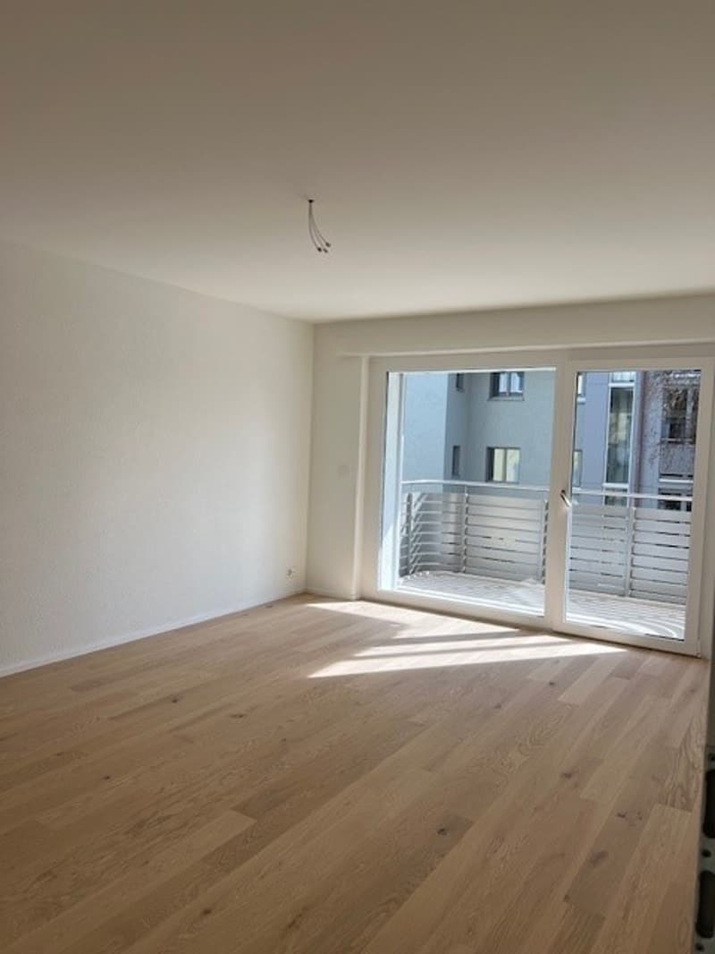 Completely renovated 2 1/2 room apartment on the 2nd floor (8)