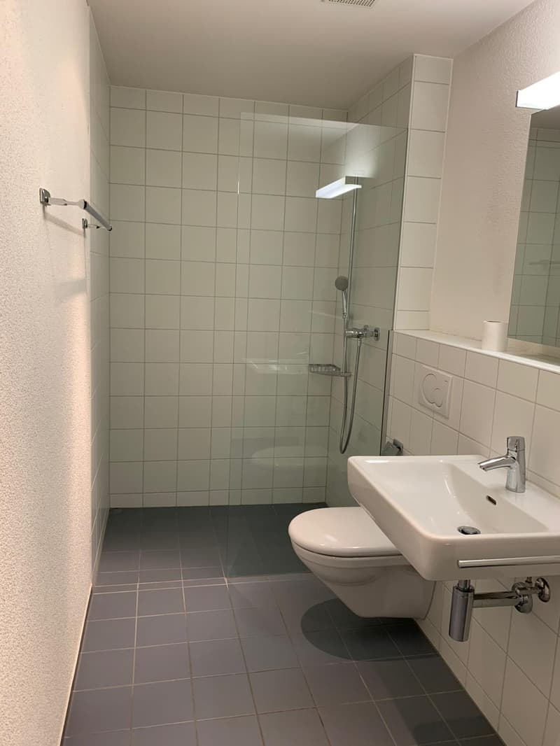 Spacious apartment with a view of the green (7)