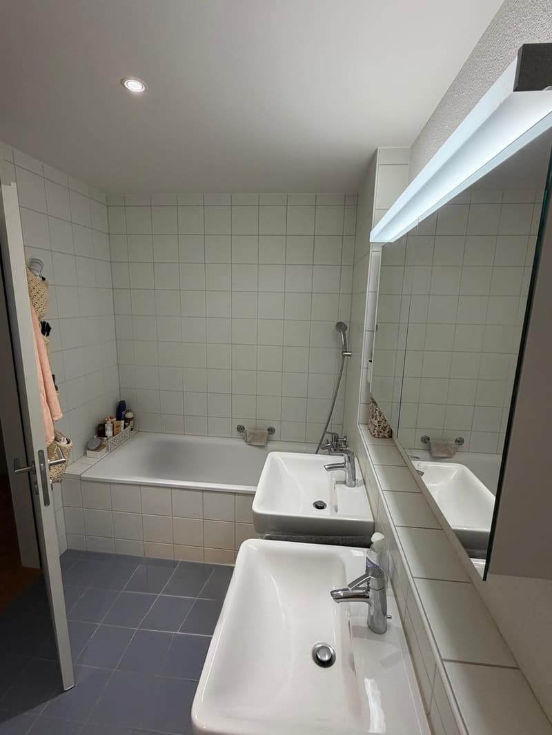 Spacious apartment with a view of the green (9)