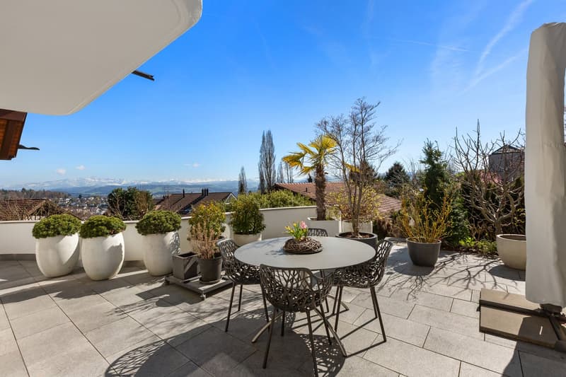 Wonderful spacious country house in a privileged residential area (5)