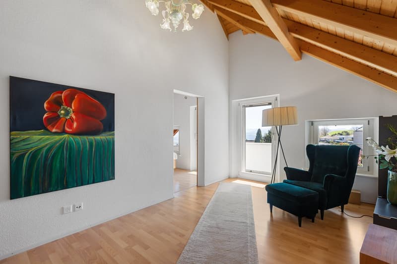 Wonderful spacious country house in a privileged residential area (12)