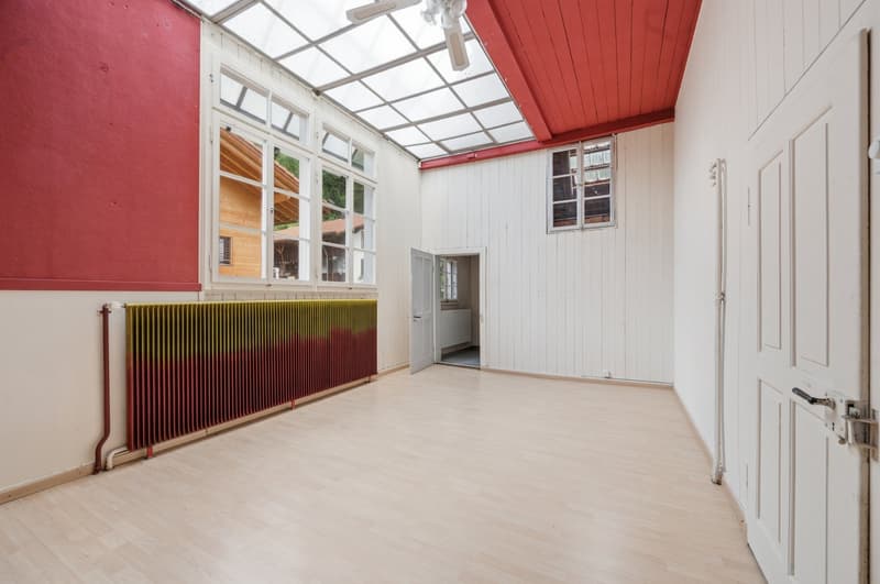 Charaktervolles 10.5 Zi.- Haus mit herrlichem Umschwung (15)