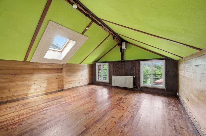 Charaktervolles 10.5 Zi.- Haus mit herrlichem Umschwung (16)