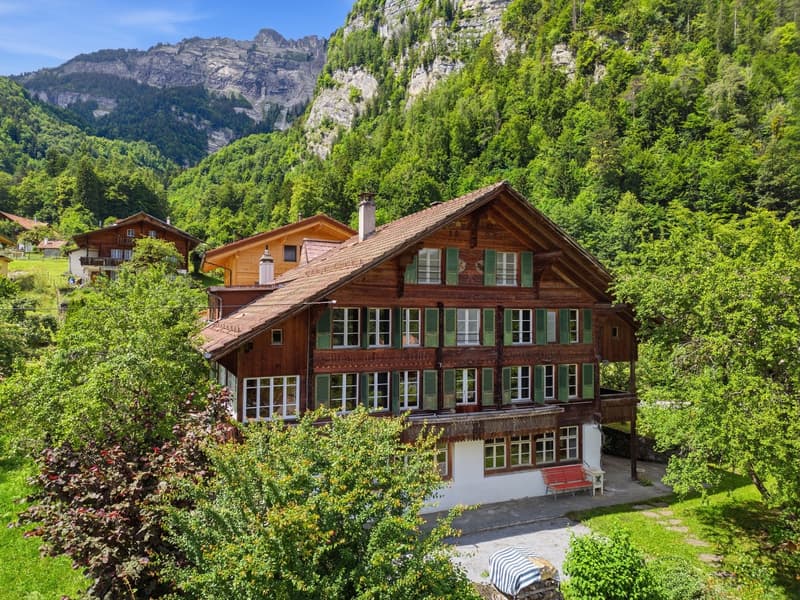 Charaktervolles 10.5 Zi.- Haus mit herrlichem Umschwung (2)
