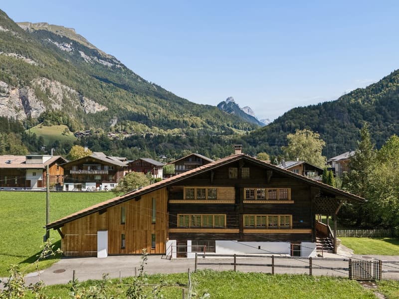 Wunderschön kernsaniertes 6 Zimmer Einfamilienhaus mit weitläufigem Garten (1)