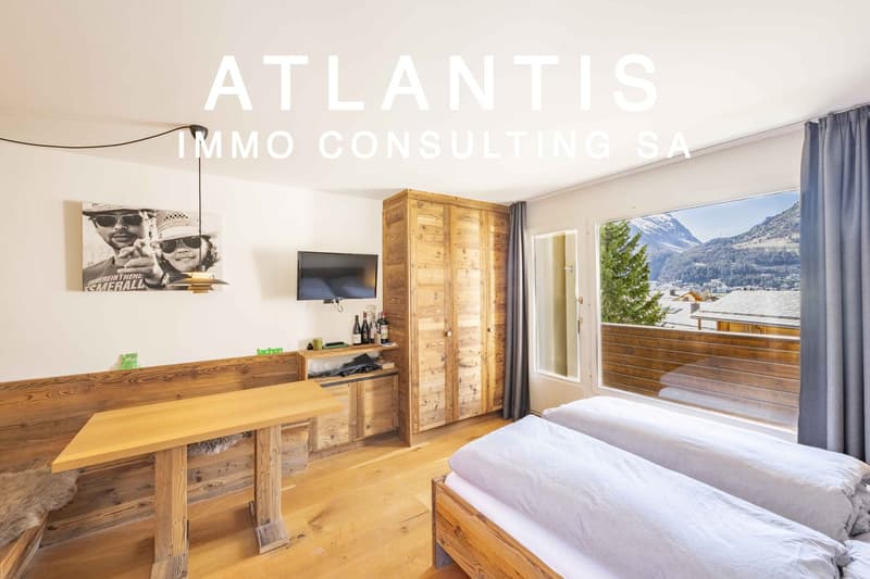 ALPINE STUDIO (1)