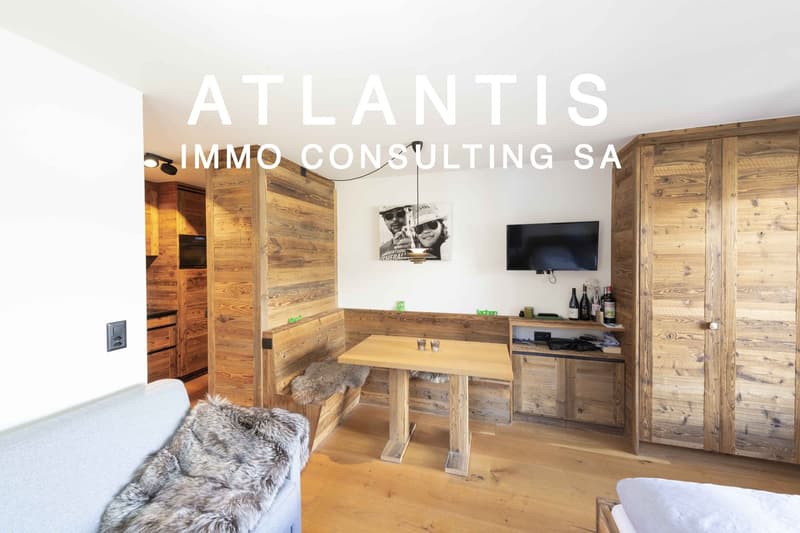 ALPINE STUDIO (1)
