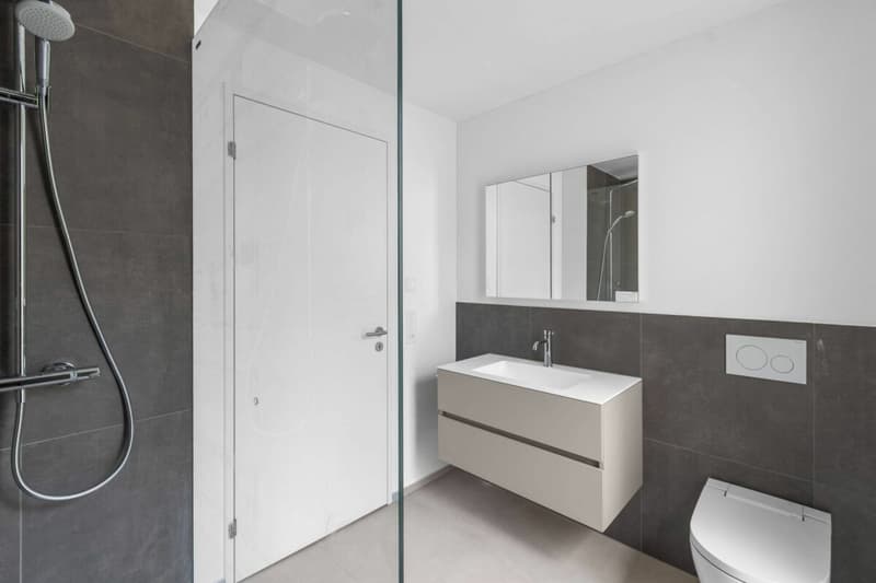 TILIA | Vivere con vista sul lago - appartamento attico di 3,5 locali agli standard del proprietario - pronto per l'occupazione dal 5 ottobre 2026 (10)