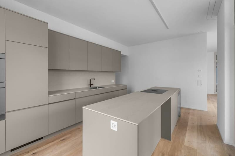TILIA | Vivere con vista sul lago - appartamento attico di 3,5 locali agli standard del proprietario - pronto per l'occupazione dal 5 ottobre 2026 (8)