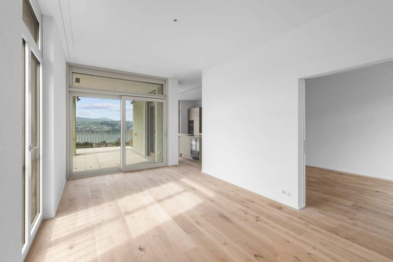 TILIA | Vivere con vista sul lago - appartamento attico di 3,5 locali agli standard del proprietario - pronto per l'occupazione dal 5 ottobre 2026 (2)