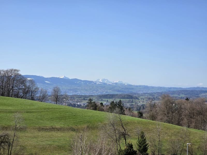 Berg- und Weitsicht, Perspektive 2