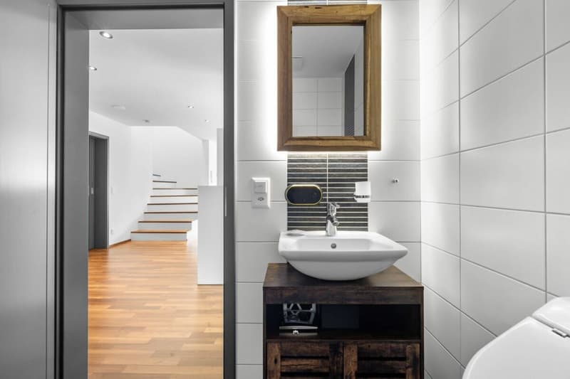 Dusche und Gäste-Toilette, Perspektive 1, 1. Wohnebene