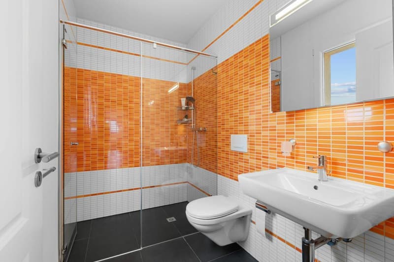 Dusche/WC, Eingangsbereich
