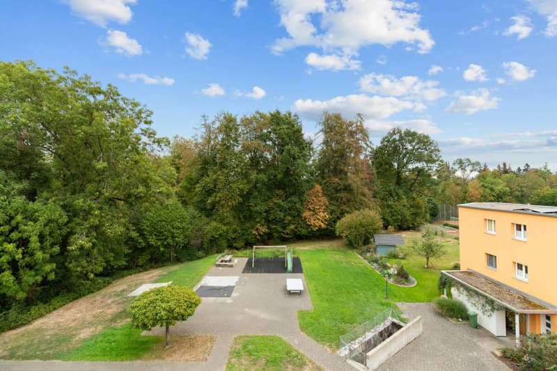 Spielplatz und angrenzende Waldzone