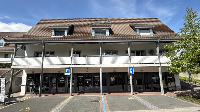 Ottimo appartamento-mansarda 3.5 locali con charme (1)