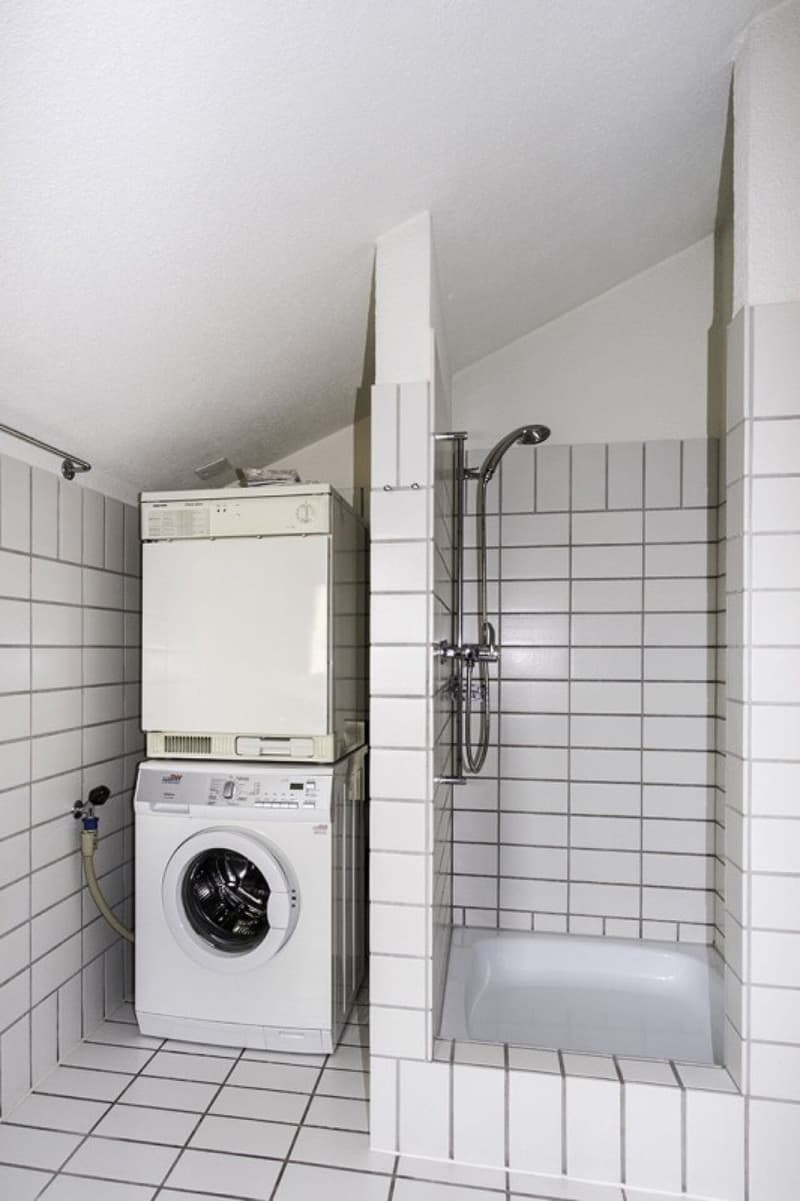 Charmante 110 m2 grosse Dachwhg. und zusätzlichem Studio-/Atelierzimmer, 2 Terrassen, Abstellräume (10)