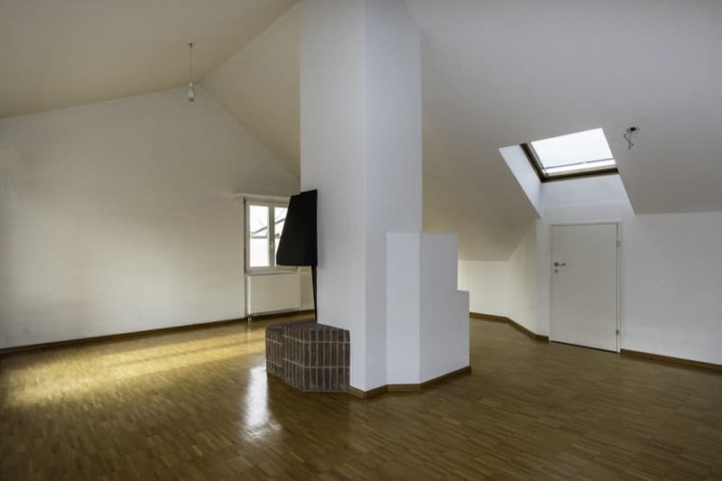 Charmante 110 m2 grosse Dachwhg. und zusätzlichem Studio-/Atelierzimmer, 2 Terrassen, Abstellräume (3)