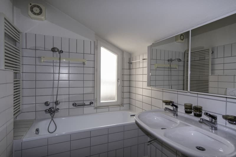 Charmante 110 m2 grosse Dachwhg. und zusätzlichem Studio-/Atelierzimmer, 2 Terrassen, Abstellräume (9)