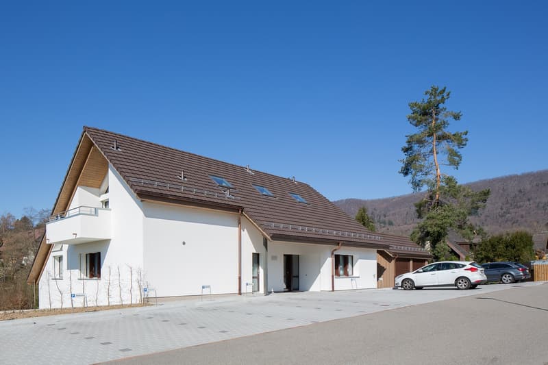 Schöne, helle 2.5-Zimmerdachwohnung (1)