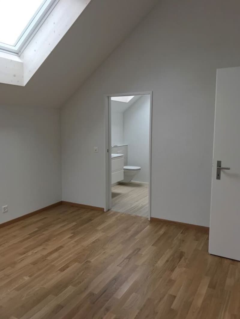 Schöne, helle 2.5-Zimmerdachwohnung (5)