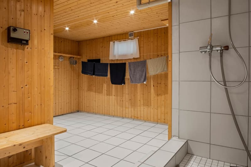 Renovierte 2.5 Zimmer-Gartenwohnung mit Wellnessbereich (10)
