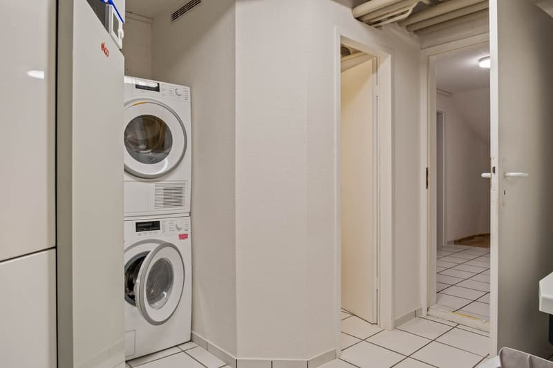 Renovierte 2.5 Zimmer-Gartenwohnung mit Wellnessbereich (8)